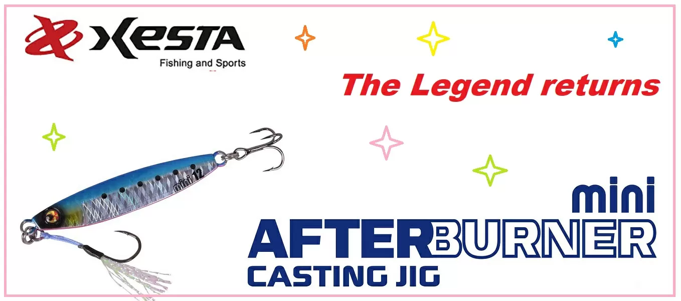 Casting Nitro Mini