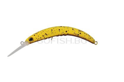 TIMON Pepino MR # Sugar Spot