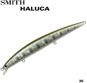 Smith Haluca 145 S