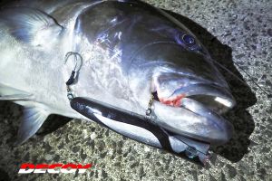 DECOY Jigging Single hook JS-2