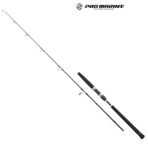 PRO MARINE Chronostar Offshore Jigging