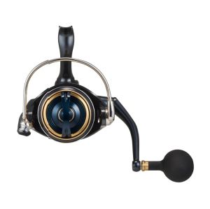 DAIWA 25 SALTIGA