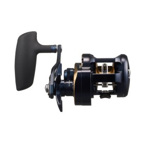 DAIWA 25 Saltiga 300