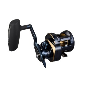 DAIWA 25 Saltiga 300