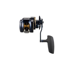 DAIWA 25 Saltiga 300