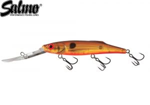 Salmo FD12SDR Freediver