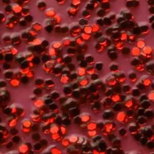 Лак за изкуствени примамки TOHO Diamand Color 10ml.