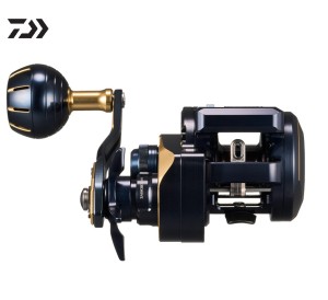 DAIWA 25 Saltiga IC 100/300