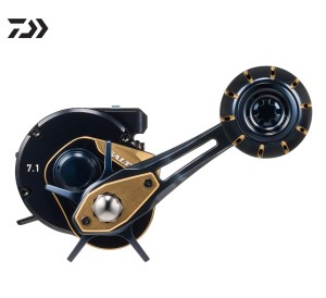 DAIWA 25 Saltiga IC 100/300