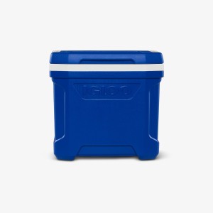 Igloo PROFILE II 16QT BLUE - 15l.